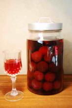 溫州新年出產楊梅酒