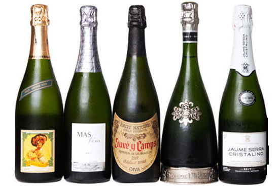 世界起泡酒大全，問度娘不如戳這里！