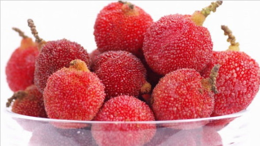 楊梅酒的做法，楊梅酒的制作